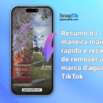 Resumo da maneira mais rápida e recente de remover a marca d'água do TikTok