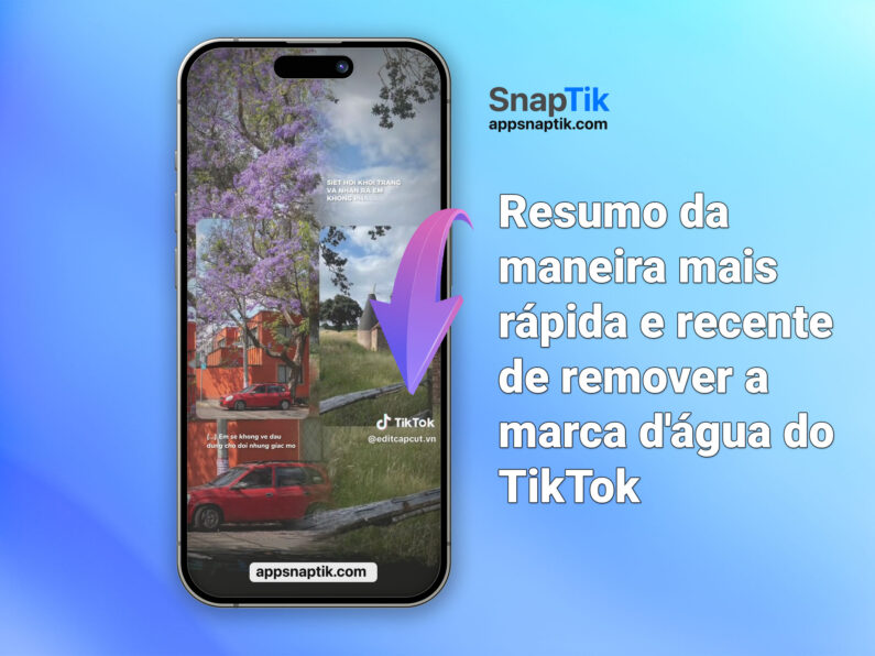 Resumo da maneira mais rápida e recente de remover a marca d'água do TikTok